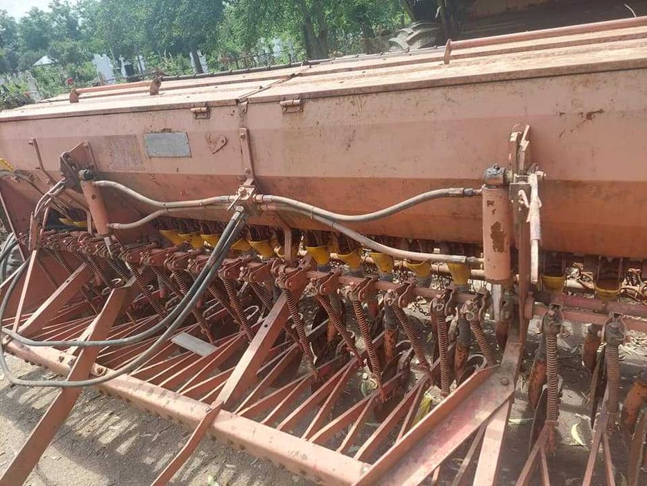 semanatoare paioase pe discuri