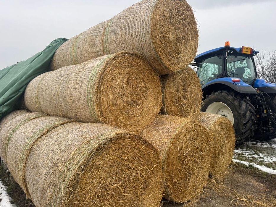 Baloti din paie de grau 2025