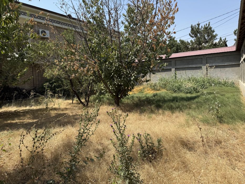 5 соток в Алмазарском районе документы и кадастр есть, без посредников