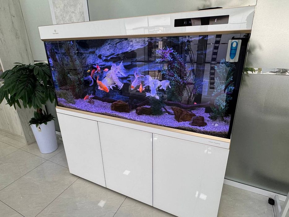 Akbarum Sotiladi  Zor narhda