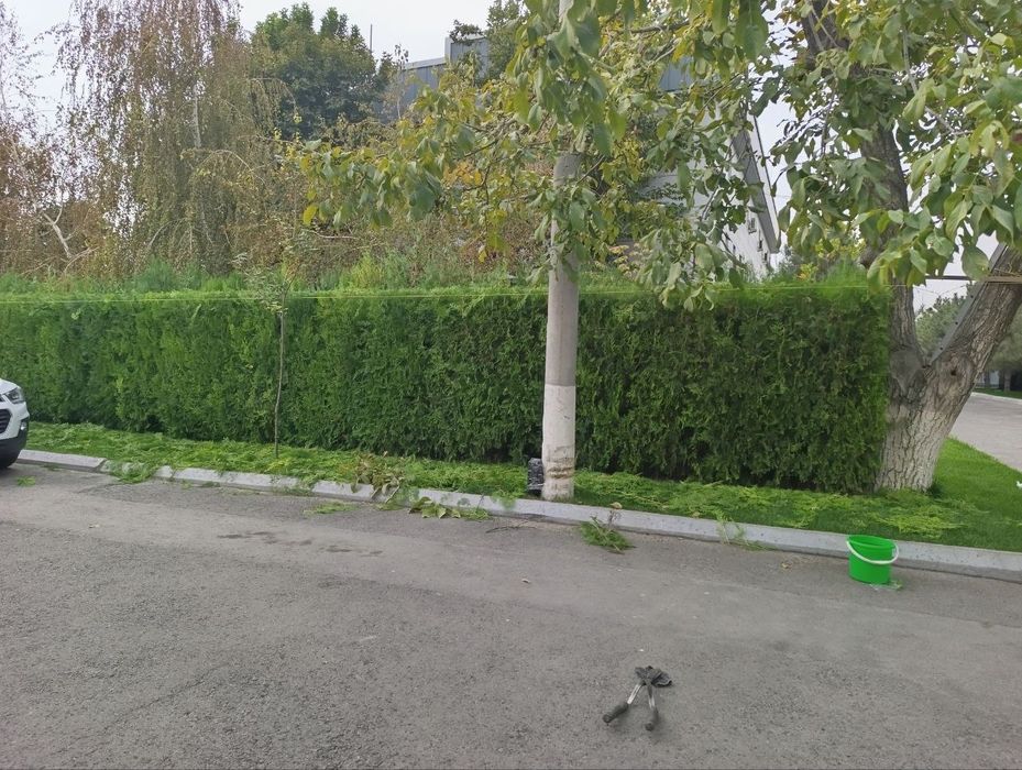 Арча кесиш хизмати дорилаш богбончилкгазон иккиш