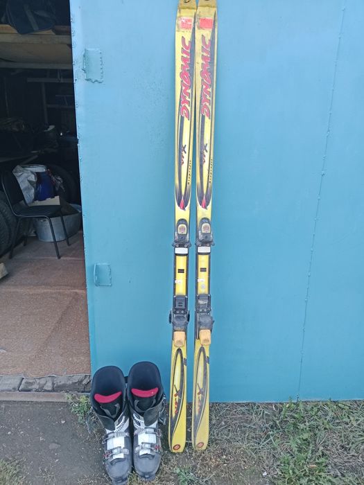 Горные лыжи зимние