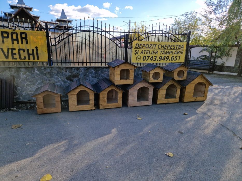 cotețe cățeluși și pisicuțe