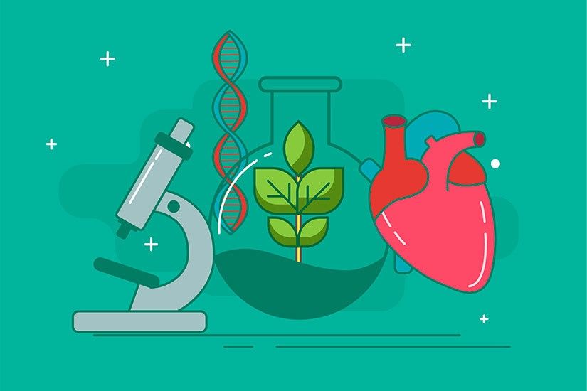 Репетитор по биологии