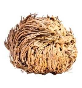 Каф Марьям (Иерихонская роза, 100 г)