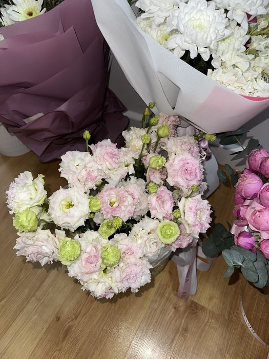 продам цветы.