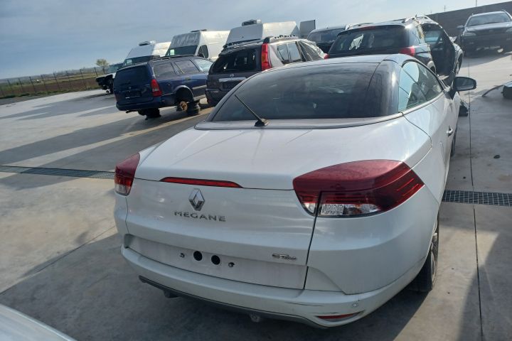 Vas expansiune 217100005R - 1.9 DCI 217100005R - 1.9 DCI Renault Mega