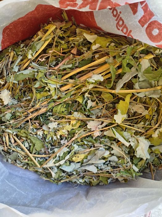 Продаётся садовые цветы