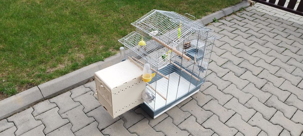 Colivie pentru păsări peruși, canari, papagali