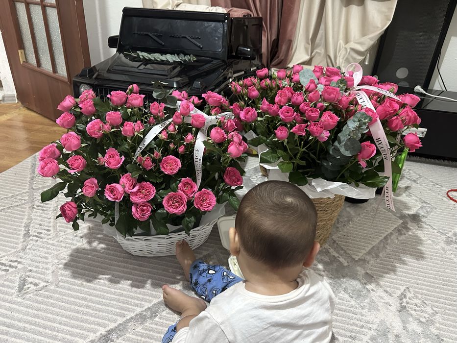 Свежый казыр келды