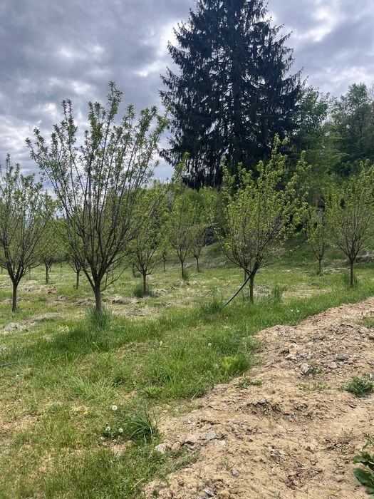Vand teren pt casa de vacanta 4300mp