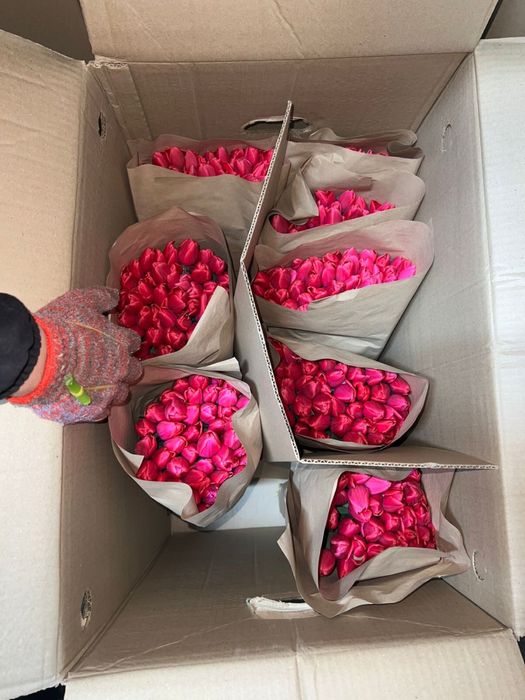 Тюльпаны Алматы низкие цены