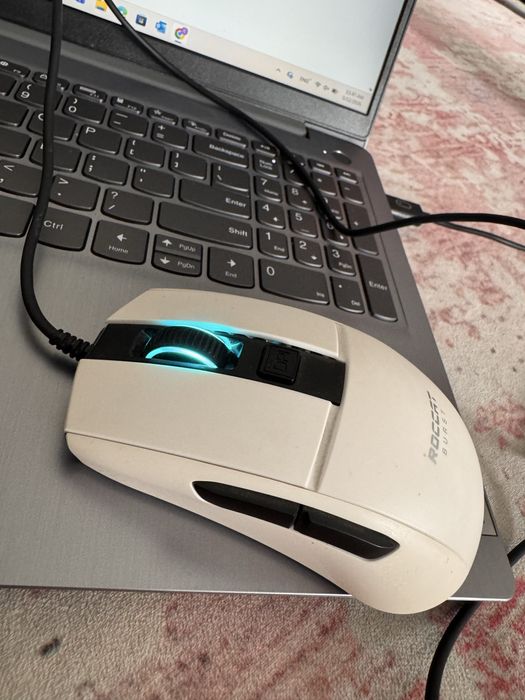 Mouse de vanzare