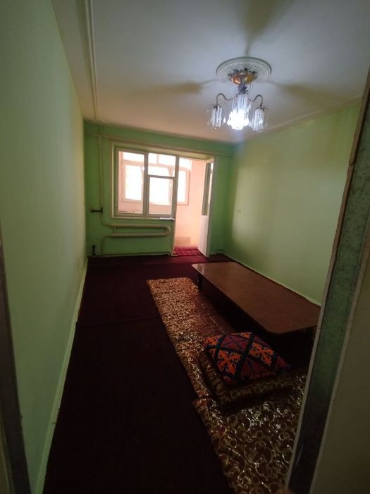 Mirzo gamburg orqasinda
