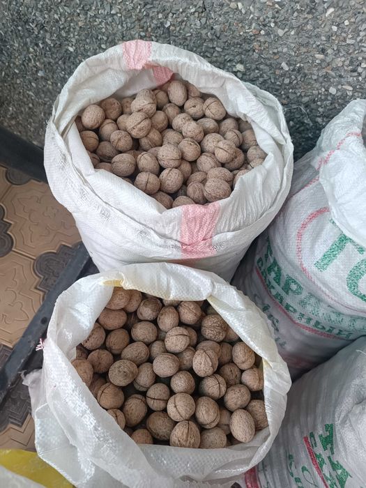 Продам греческие орехи