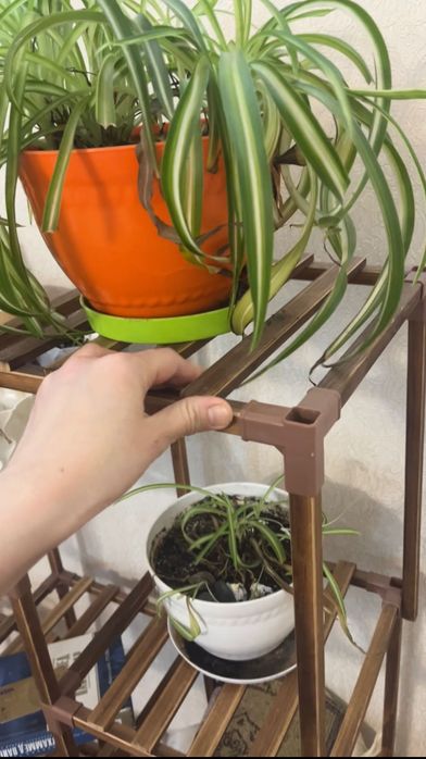 Полка для цветов