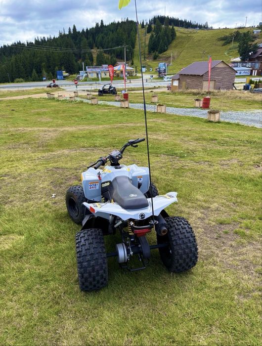 Can Am Renegade 110 Atv Copii