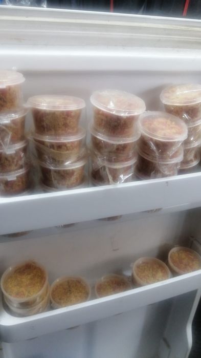 Черви Опарыш микс 500 тенге!