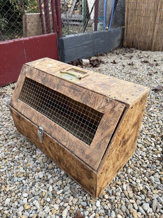 Cutii de transport iepuri