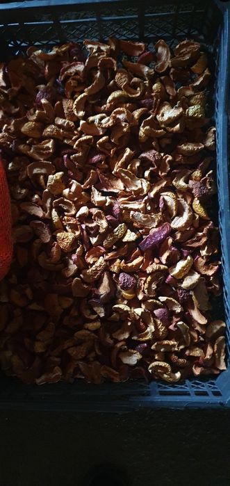 Продам сухофрукты