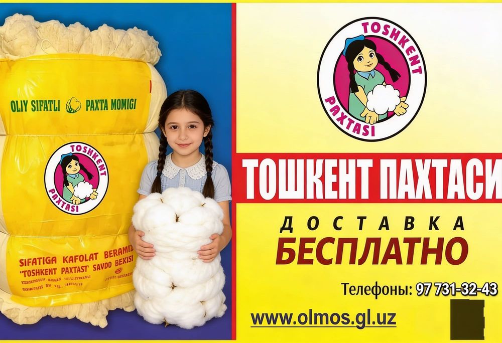 Diqqat! TOY PAXTA olishda adashmang!