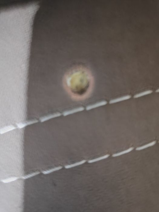 Gastiniy ugalok judayam zor