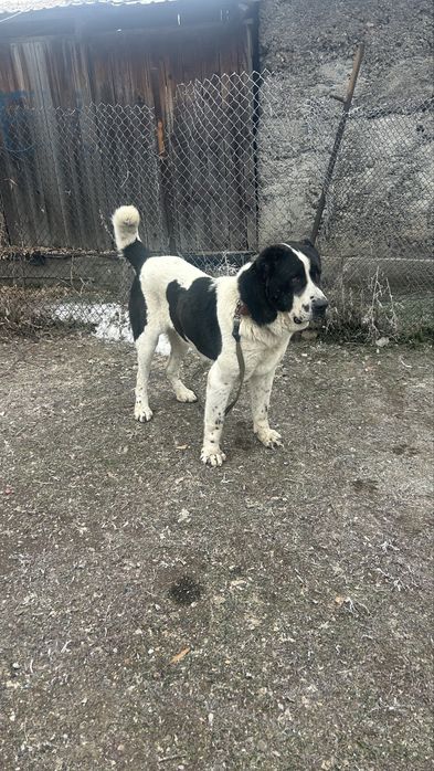 Открыт для вязок кабель