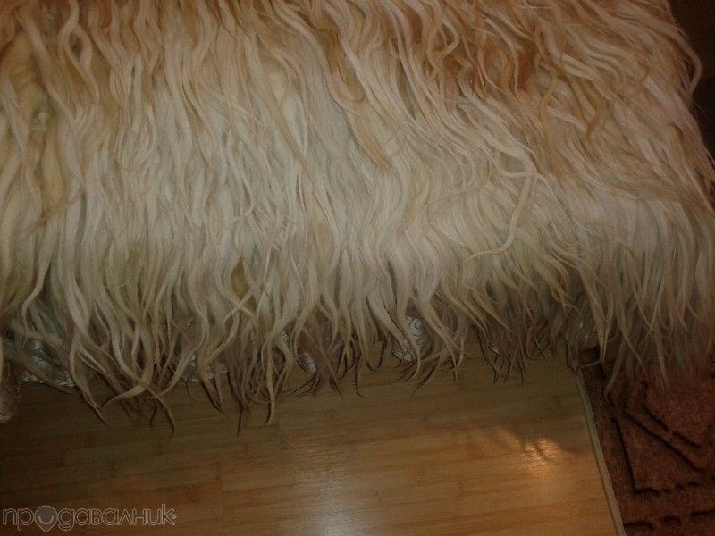 Родопско халище ..