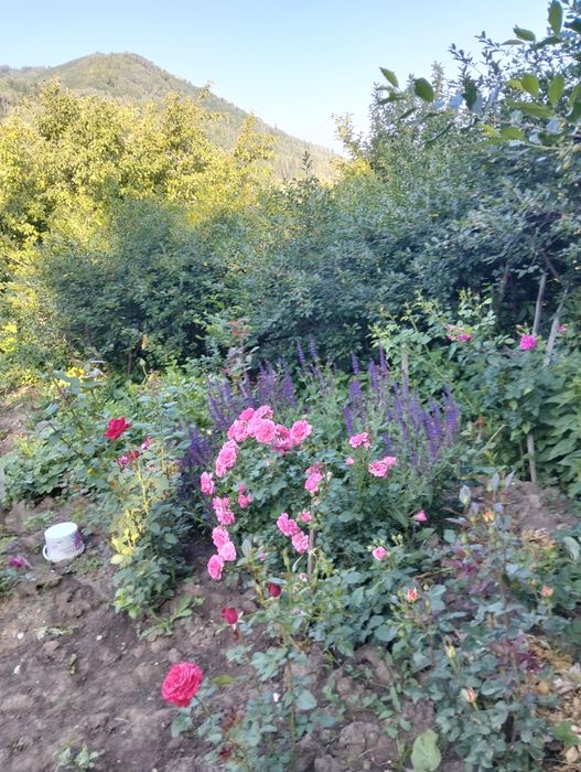 Продам дачу с/о "Казахстан"