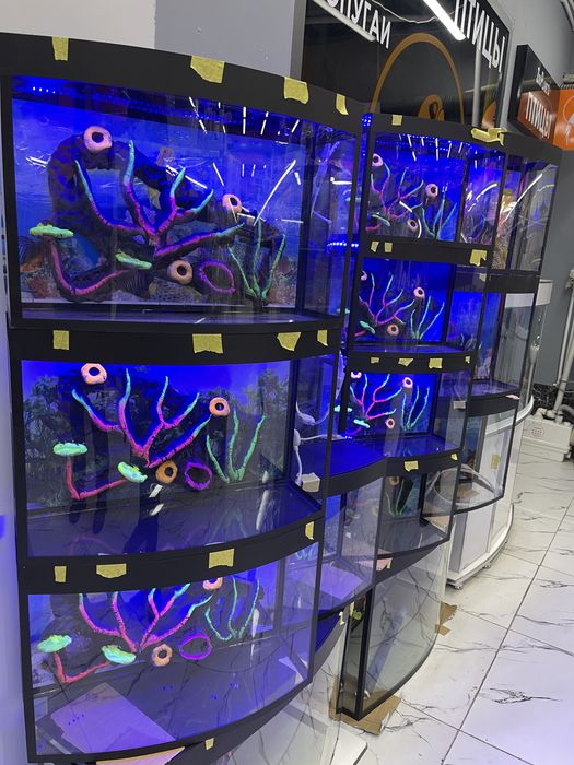 Akvarium New avalniy 20Litr