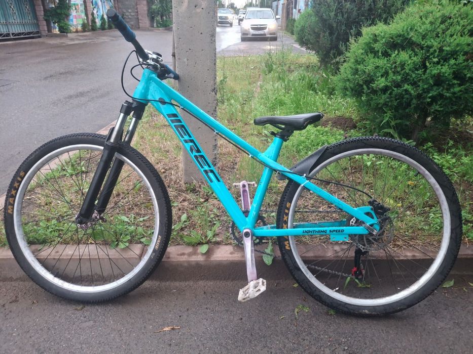 Erec l100 с maxxis