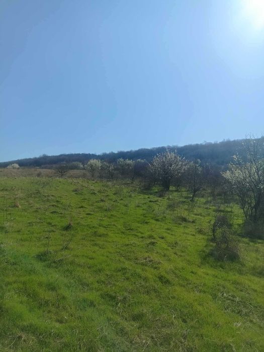 Продава се Парцел в Варна, Аспарухово - 1000 кв.м за 15 €/кв.м - Снимка #2