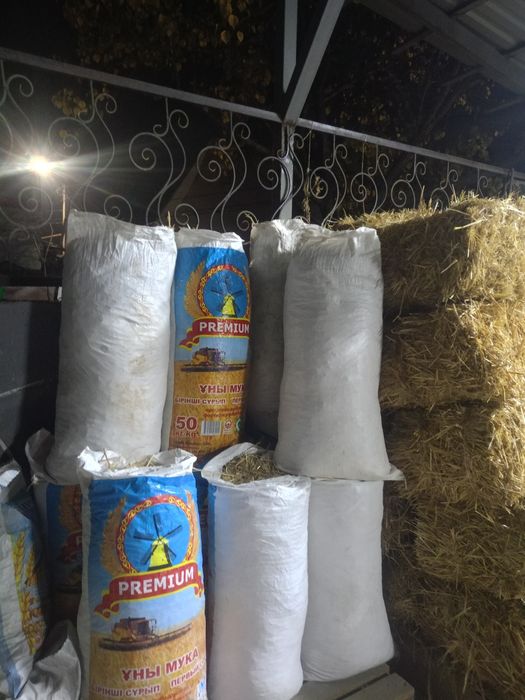 Солома в мешках, сабан, подстилка в городе