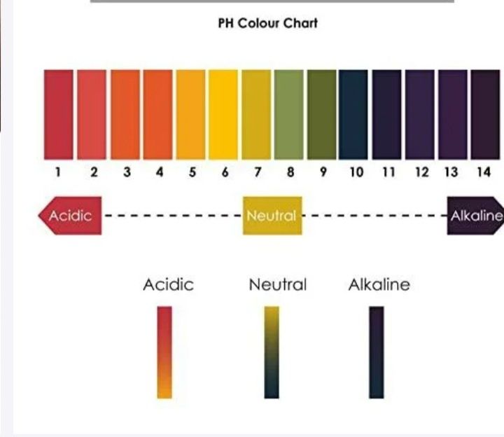 Лакмусовая бумага