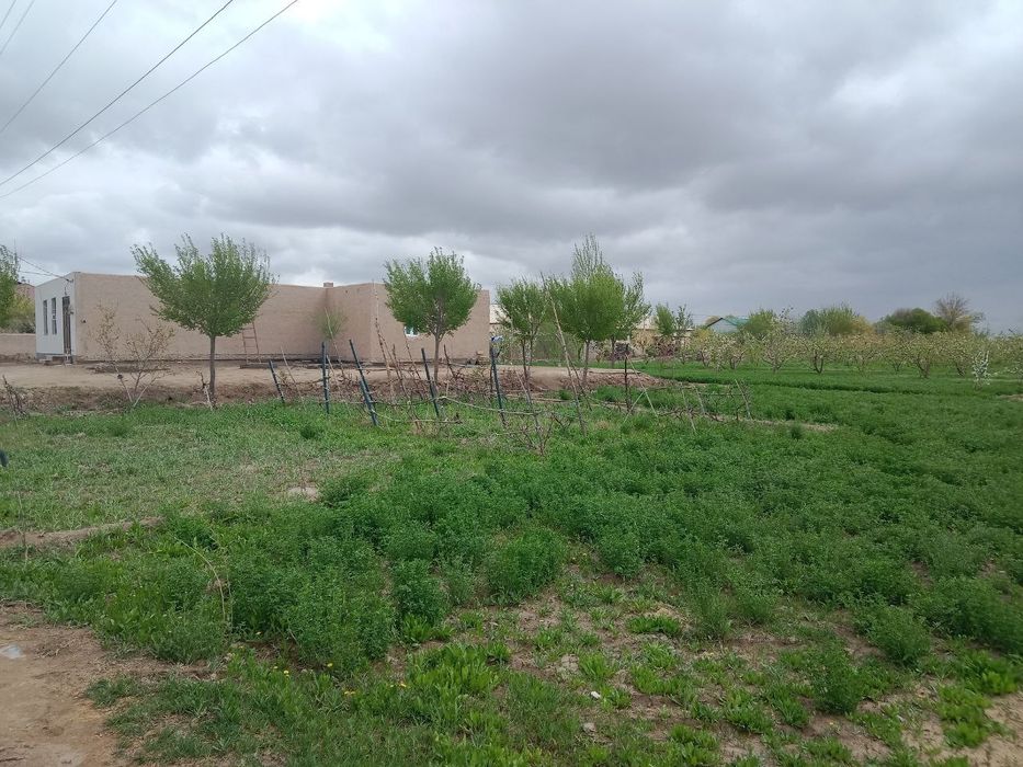 Uy sotiladi narxi kelishiladi !!!