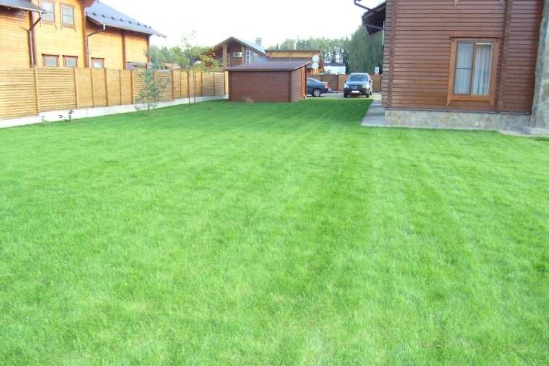 Tabiy chim va chim urug‘lari