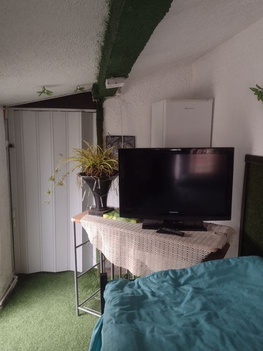 Inchiriez ap la casa pt 1 singura persoana plus o pisica sau un catel talie mica