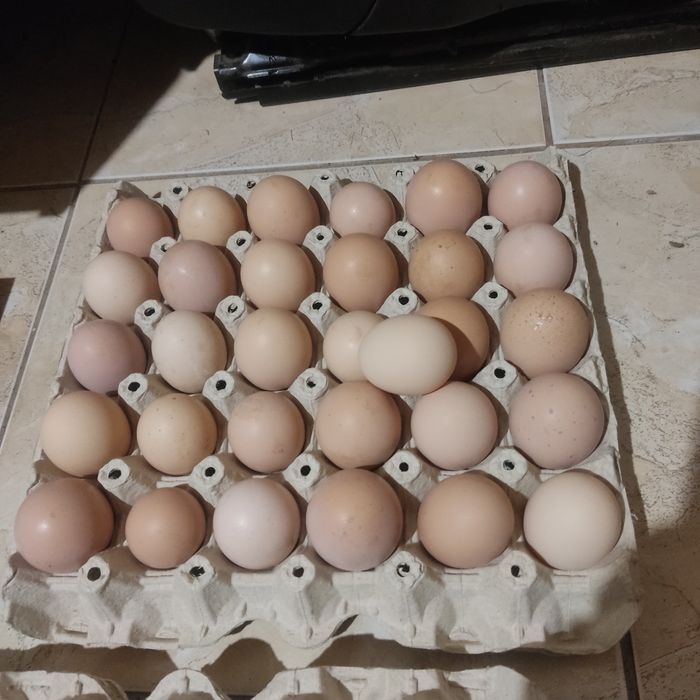 Яйца за люпене от Пуйки и кокошки