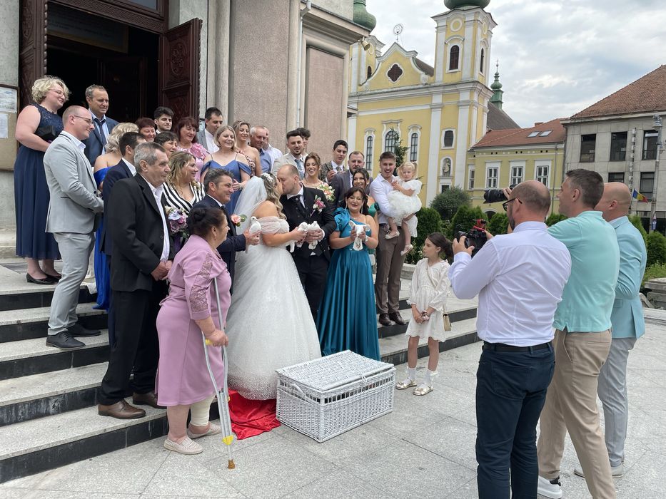 Porumbei albi pentru evenimente!