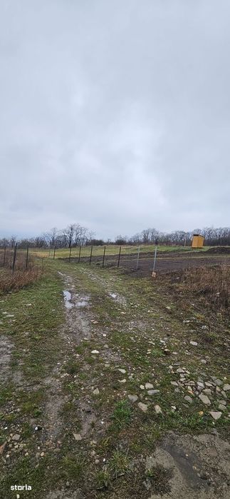 Teren intravilan Chicerea - Tomesti - 656 mp + acces, lângă pădure
