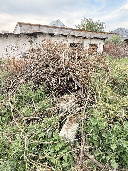 Дрова бесплатно самовывоз