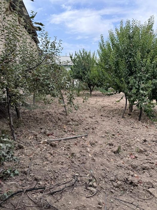 Зангиота, 8 соток ховли сотилади