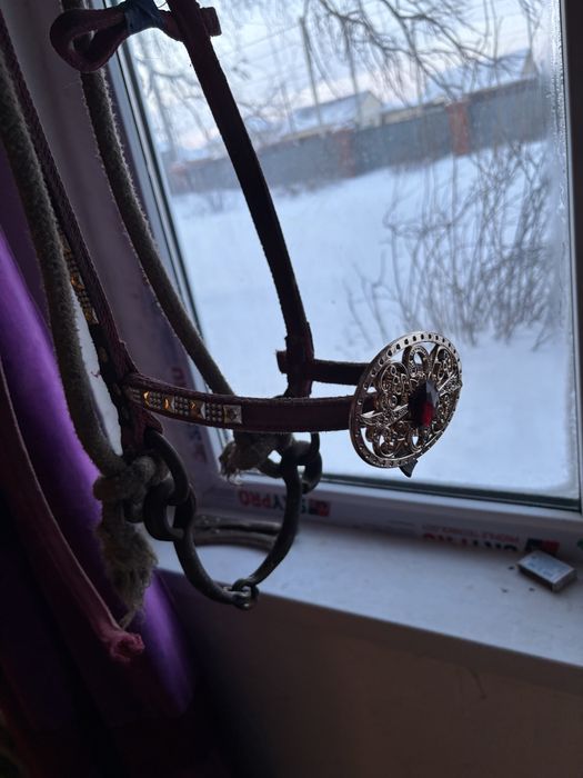 Жұген      Уздечка