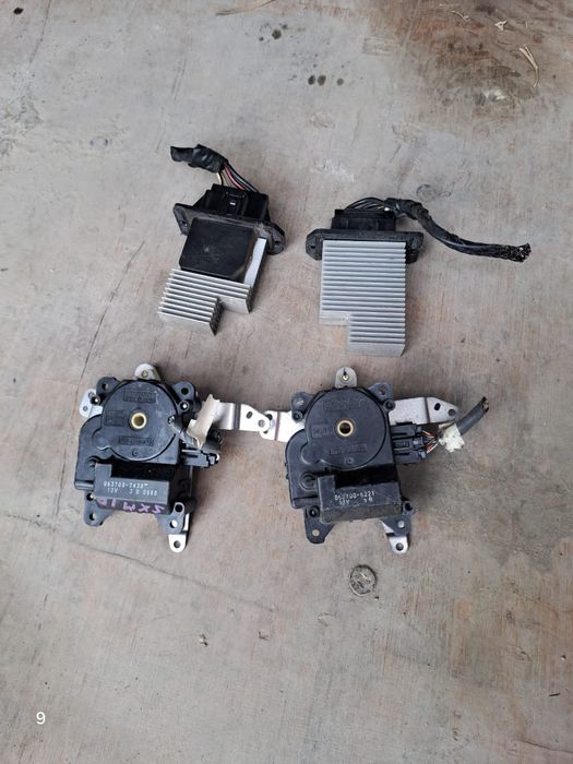 Ипсум ипсун ipsum picnic пикник