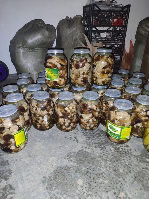 Продам грибы валуи и грузди