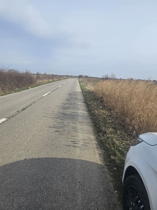 Proprietar! Teren Floresti Stoenesti Palanca DJ 401a