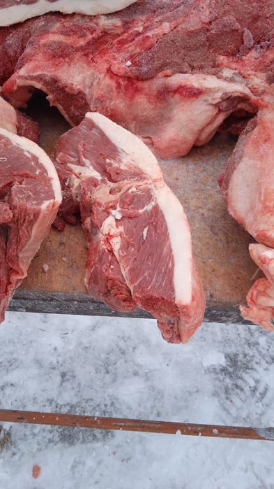 Мясо конины достовка бесплотна