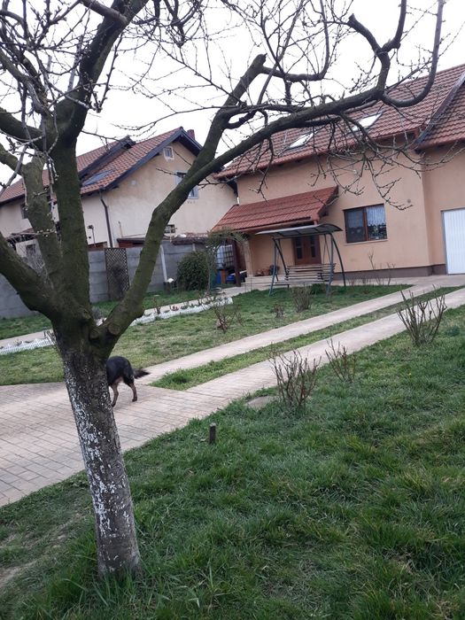 Vind casa în Mintia