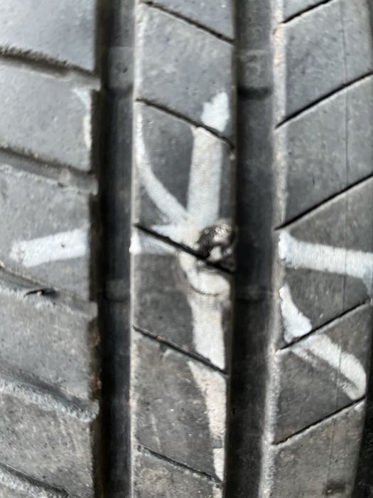 2летни и 2 зимни 205.55.16