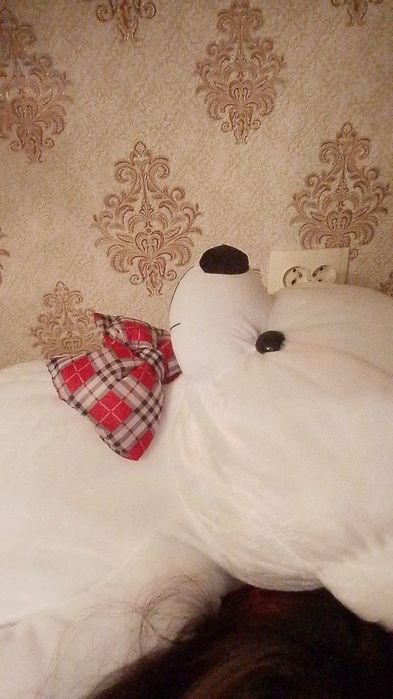 Мягкий сильный медведь